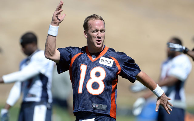 Peyton Manning is the obvious favorite for the 2014 NFL MVP.