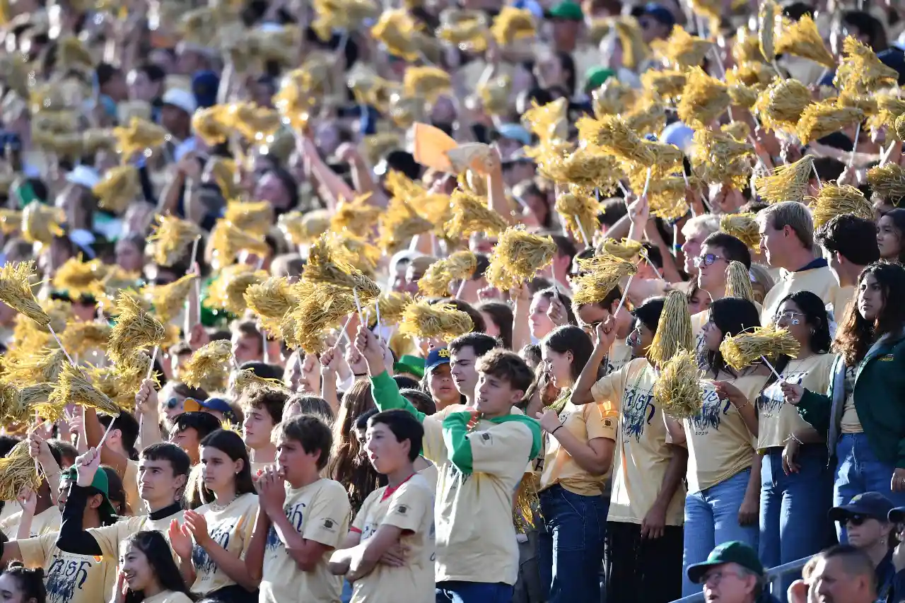 Students cheer in the Notre Dame student section during the game between the Notre Dame Fighting Irish and the Northern Illinois Huskies at Notre Dame Stadium.